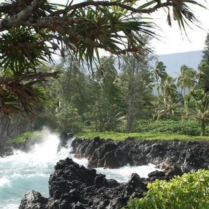 Meet your Posher, Marci